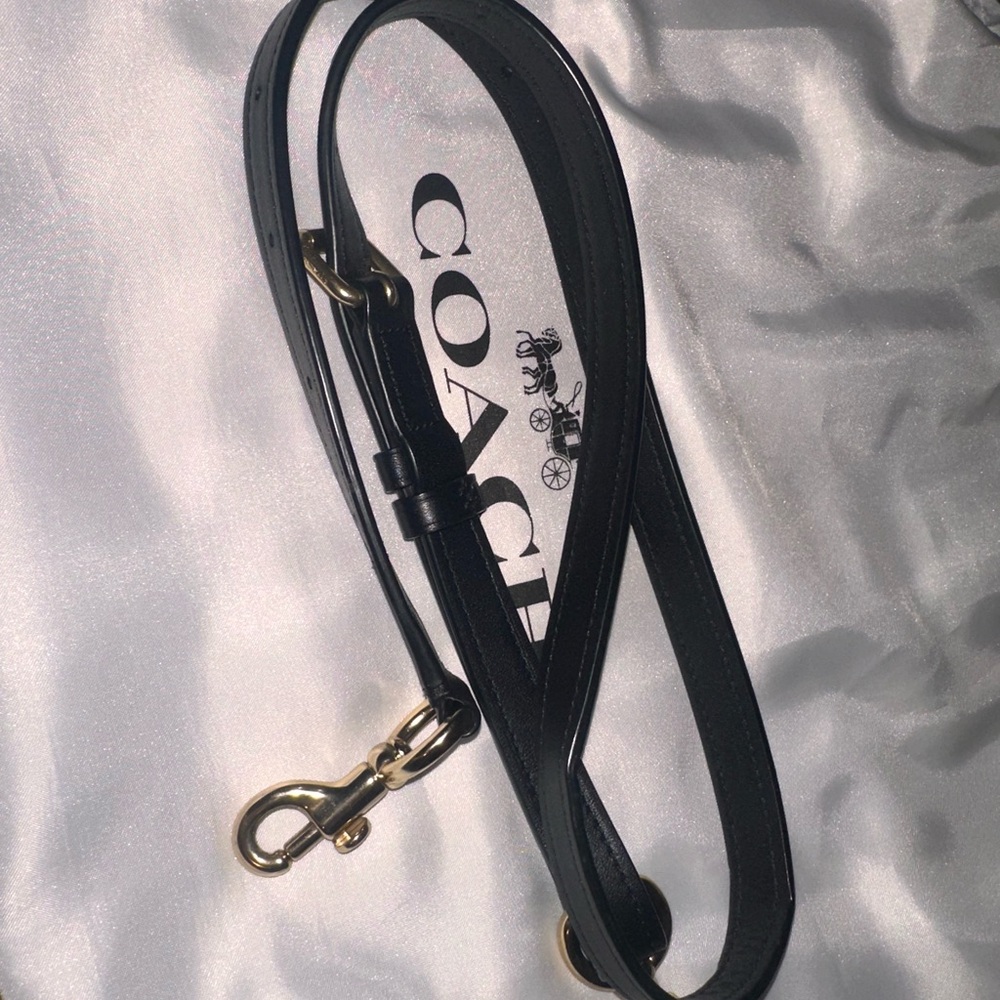 Coach Swagger Purse - Picture 5 of 9
